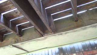 Famous Leaking patio cover damage shown by Dallas Home Inspector, Greg House. Profile
