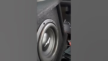 Skar Audio 8" on a Rockford Fosgate 500.1, makin some noise. Crazy flex on this little guy
