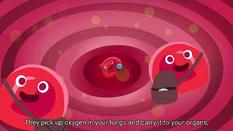 Don’t Miss A Beat: All About Blood