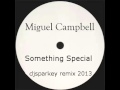 Miguel Campbell - Something Special (djsparkey remix 2013)