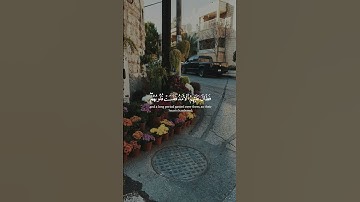مِن سُورة الحديد | القارئ : أحمد النفيس