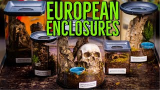 Tarantula Room Enclosure REVIEW - European Spider Enclosures