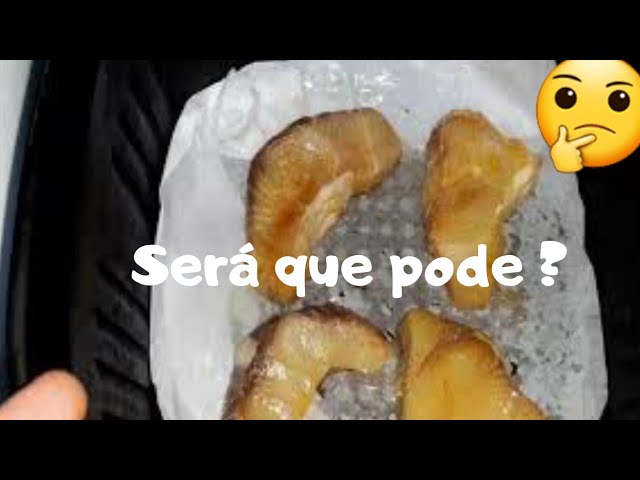 Pode colocar PAPEL MANTEIGA na airfryer 