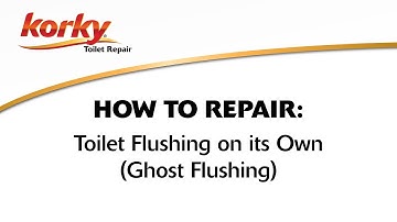 How to Fix Toilet Flushing on its Own - Ghost Flushing