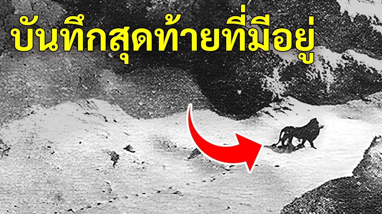 สายพันธุ์ที่สูญพันธุ์และข้อเท็จจริงเกี่ยวกับสัตว์ที่น่าทึ่งอีกมากมาย