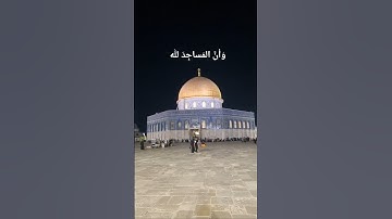 وَأنَّ المَساجِدَ لله #المسجد_الأقصى #فلسطين #ماهر_المعيقلي #تلاوة_خاشعة #قرآن #اسلام #fyp #islam