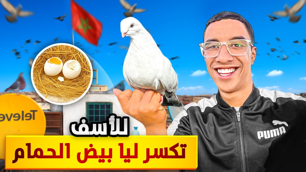 حياة مولوع: توليعة في الحمام🕊️جديد سيفيانوس الحر🤯والكين تهرست ليا بيضة😢