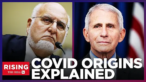 COVID ORIGINS EXPLAINED: Hill Reporter Breaks Down Lab Leak & Natural Origin Theories