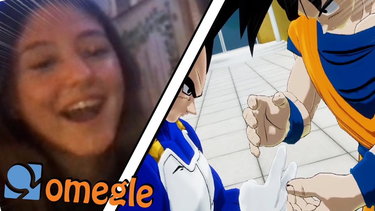 Goku and Vegeta go On Omegle... (DBZ VR)
