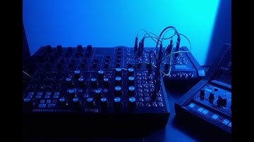 Coral - Moog Subharmonicon, Korg  MS20 & Volca Drum