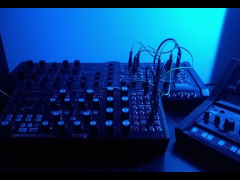 Coral - Moog