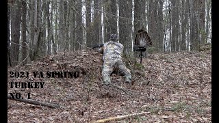 2021 VA SPRING TURKEY SEASON-NO. 1-OPENING DAY VIRGINIA TURKEY SEASON-HENNED UP GOBBLERS