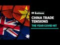 The Year COVID Hit: Trade tit-for-tat sends chill through Australia-China relations | ABC News