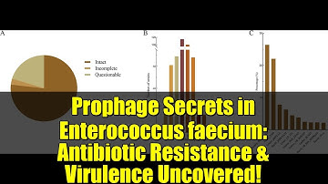 Prophage Secrets in Enterococcus faecium: Antibiotic Resistance & Virulence Uncovered!