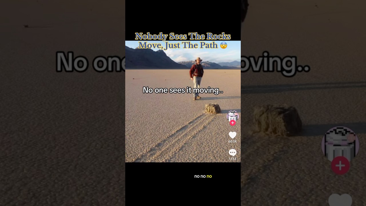 Nobody Sees The Rocks Move, Just The Path 😨 