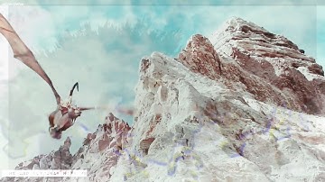 {MEP~part} part 4~for I_Love_Wolves_2005