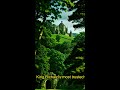 Medieval Mystery:  Did They Just Disappear?! #shorts #HistoryMystery