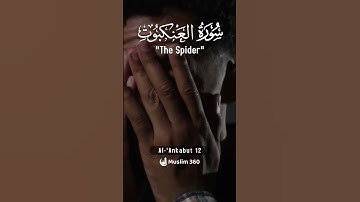 Surah Al-Ankabut 12  | Urdu-Hindi Audio Translation | سورة العنكبوت | #surah #islamdaily #quran