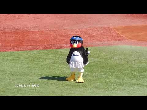 【オープン戦2026】3/15：始球式を見守るつばみ