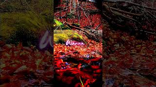 Faded Nostalgia s  song shorts