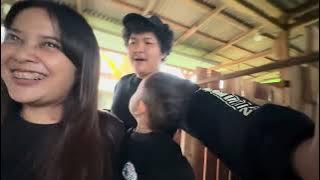 My husband misses vlogging, it's been a while since he's been on a story | looking for a goat to ...