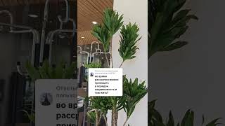 Купить дом в Германии в рассрочку. Спасибо за подписку ❤️