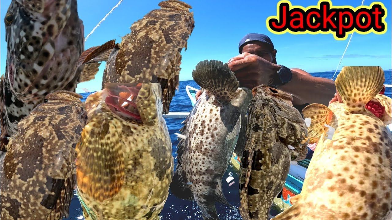 Lugar na Pinaka maraming Grouper!