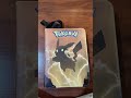 The Pokémon Cover