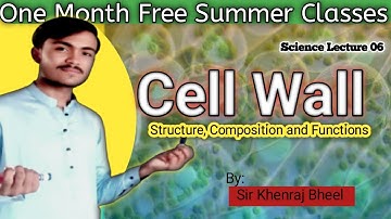 Cell Wall | Structure, Composition & Functions|Lec#06 |Science in Sindhi |Summer Classes by Utam EDU