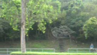 KMB HN 2403 98C part 2