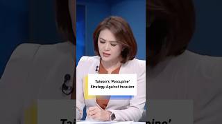 Taiwan’s ‘Porcupine’ Strategy Against Invasion | Taiwan Talks #shorts
