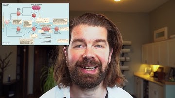 What do LONG COVID, Fibromyalgia and CFS/ME have in Common? T-Cell Exhaustion!