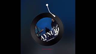 Uyghur Song Uyghur Mp3 Aynuri - Zulpikar Yusup