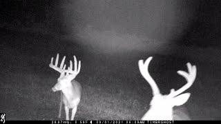 Oct 1, 2021 PA Trail Cam Footage Velvet Bucks Fawns Deer Browning FHD Spec Ops Recon Force