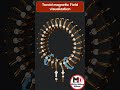 Toroid Magnetic field Animation #3danimation #physic  #12thphysics #fundamentalphysics #shorts