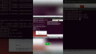 Create Folders &amp; Files: Simple Command Line Guide #shorts