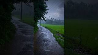 Best Mosam 💯❤️ #Night #rain #nature #trending #viral #farmer !