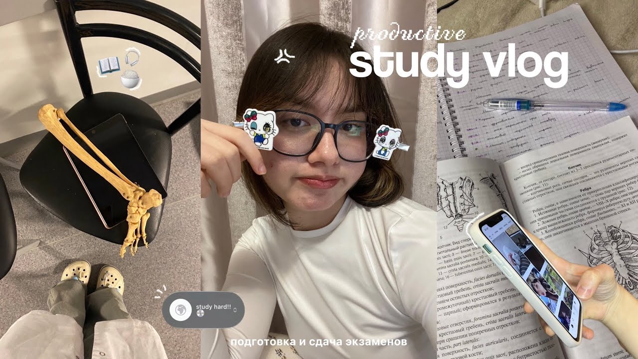 study vlog🖇️: подготовка и сдача экзаменов, зимняя сессия