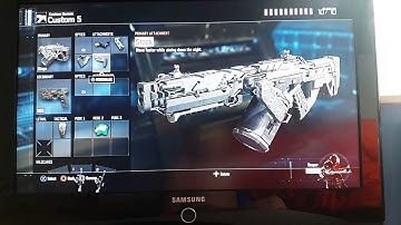 BEST DINGO CLASS SETUP