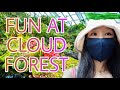 Singapore cloud forest