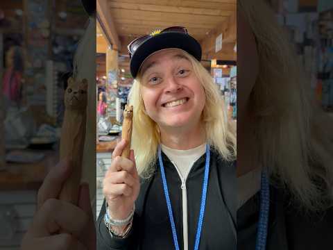 Alaskan Dad Joke #dadjokes #dadjoke thumbnail