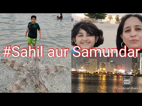 #Dubai 2nd day vlog..Aaj Al- Mamzar beach per gaye .khoob enjoy kiya sabne🏖️ star ⭐⭐ fish Dekhi…