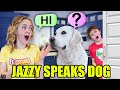 Jazzy Speaks to Animals!