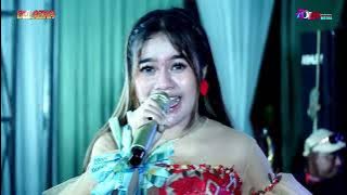 DELAZKA Sia Sia Mengharap Cintamu - Elsa Safitri Feat OMBE Band OM B 2023