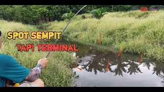 MANCING DI SPOT TERMINALNYA PARA IKAN SINGGAH ‼️ MANCING BETIK UMPAN CACING