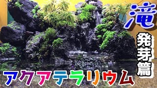 アクアテラリウム 滝 完成品 GEX 赤溶岩石レイアウト アクアテラリウム 滝 完成品 GEX 赤溶岩石レイアウト - メルカリ