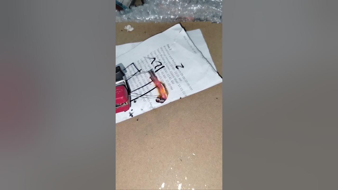 Electric Power YouTube