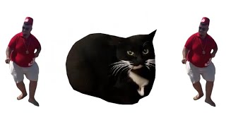 Maxwell Cat+Skibidi Dop=Maxwell Dop | Maxwell Cat | Skibidi Dop | Memes