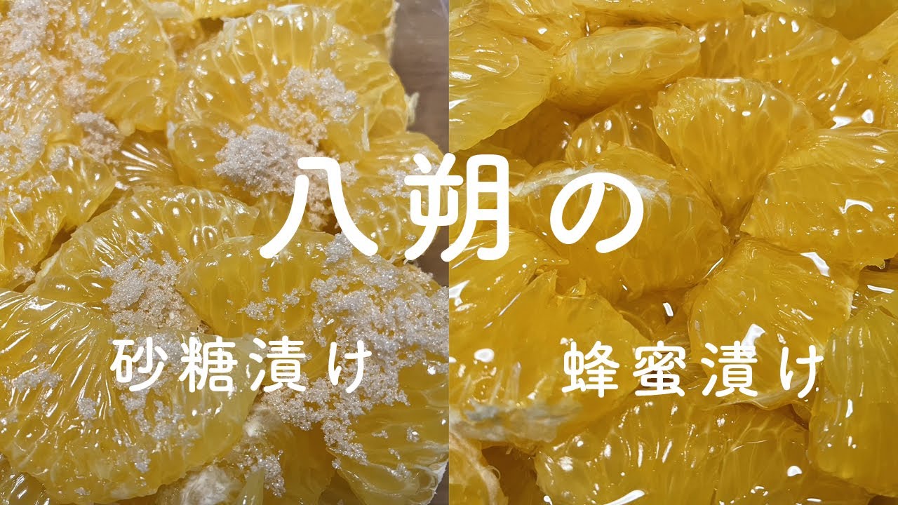 八朔（ハッサク）の砂糖漬け・ハチミツ漬けレシピ - YouTube