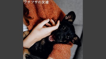 Pulsating Backdrops for Pure Trips